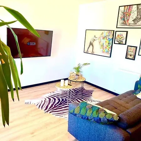 Apartament *superbe Moderne* Lourdes